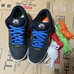 Nike Dunk Low sb ブラック/マルチカラー