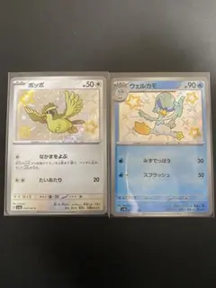 ポケモンカード　ポッポ 、ウェルカモ色違いセット