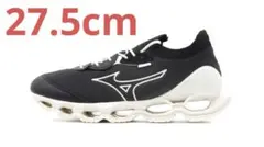 Mizuno Wave Prophecy βのサムネイル