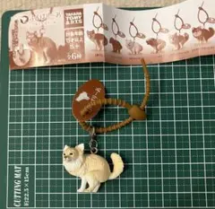 【新品未使用】ふんばりーぬ チワワ（クリーム）　ガチャ