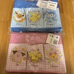 ポケットモンスター　プラチナムザッカポケット付き収納バッグ　2種