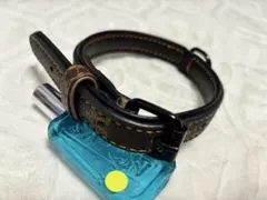 Item thumbnail for item b3b7c6ae-f6ec-4fb1-bf13-5f8525acdb1d