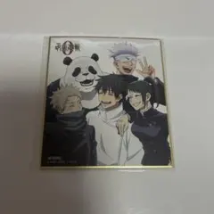 呪術廻戦 呪術 乙骨憂太 狗巻棘 禪院真希 パンダ 五条悟 2年生組 色紙