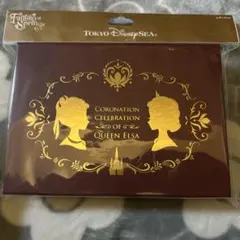 ディズニーシー　アナ雪　レターセット　ファンタジースプリングス