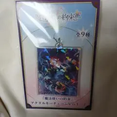 魔法使いの約束　まほやく　アクリルキーチェーン　ミスラ　①