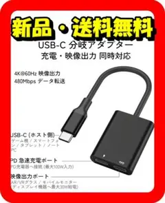 Item thumbnail for item 72b62014-abdd-43b0-9d43-8001c4ca379e