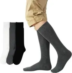 Item thumbnail for item 4363aba2-c0c0-4bf7-bcf0-35b3913d42f1