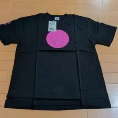 超！入手困難　レアグッズダックテールズ　クレイジーケンズバンド　まとめて 超！入手困難 レアグッズダックテールズ クレイジーケンズバンド