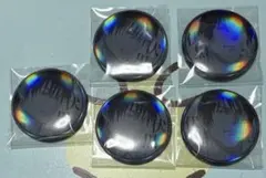 呪術廻戦 缶バッジ 伏黒甚爾 5個セット