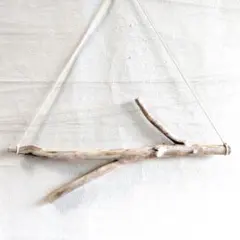 Item thumbnail for item f09c9542-362a-4357-9f5a-004d8cbdb729