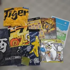 阪神タイガース色々セット