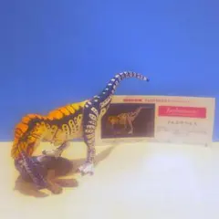 タルボサウルス（白） チョコラザウルス シークレット
