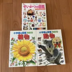 楽しく遊ぶ学ぶ 図鑑セット プレNEO