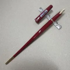 新品 廃盤 パイロット デスクペン DPN-200 万年筆 ブラック M - メルカリ
