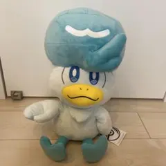 クワッス　等身大ぬいぐるみ　ポケモンセンター　ポケセン　タグ付き