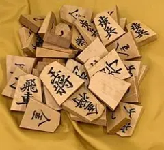 将棋駒 盛上駒 山峯作 菱湖書 本黄楊 - メルカリ