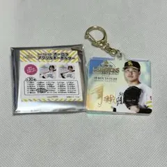 Item thumbnail for item 9e7482a2-7761-42a4-bc7f-c2be251aeb6a