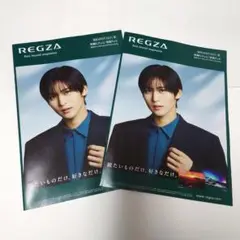 目黒蓮　REGGZAパンフレット　Snowman　レグザ