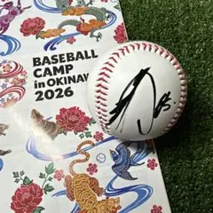 横浜Denaベイスターズ EPOCH2019 宮城滝太 ルーキー直筆サインカード 