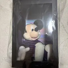 ジャック・オ・蘭たん ミッキー ぬいぐるみ キーホルダー 特典巾着