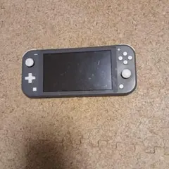 Nintendo Switch Lite 本体 グレー(ジャンク品)