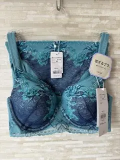 D70&M」トリンプ 恋するブラ(R)583 ブラ&ショーツ グリーン