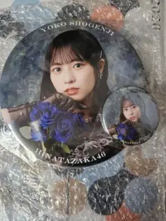 Item thumbnail for item 1e980a5e-adca-44d2-96f9-c4d7ab76947c