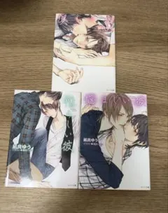 凪良ゆう 美しい彼/憎らしい彼/悩ましい彼 3冊セット