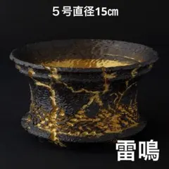 羅生〜鳳凰〜 4号直径12㎝ 3dプリンター鉢 作家鉢 アガベ - メルカリ
