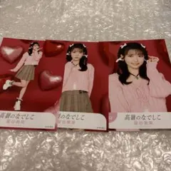 東山恵里沙 高嶺のなでしこ 生写真 コンプ 3枚 | Mercari