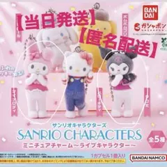 【当日発送】【匿名配送】サンリオキャラクター ミニチュアチャームマイメロ×クロミ