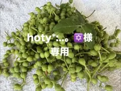 hoty*:..。✡様専用　訳あり山椒400gのサムネイル