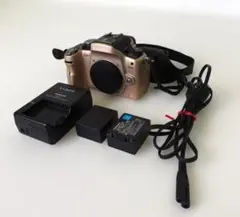 LUMIX DMC-GH1 Gold Body (Includes 2 genuine batteries and charger)