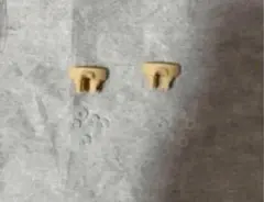 Item thumbnail for item b44b6652-f2a0-40e6-9a8c-7cc8cf40c864