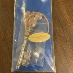 東京ディズニーリゾート 25周年キー