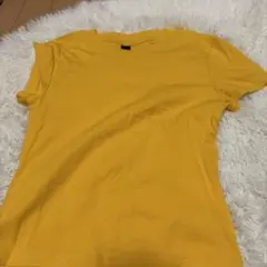 イエロー 半袖 Tシャツ