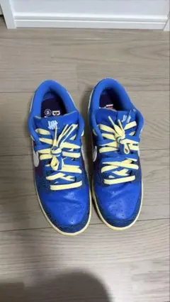 国内正規品　Nike Dunk Low SP Undefeated 28cmのサムネイル