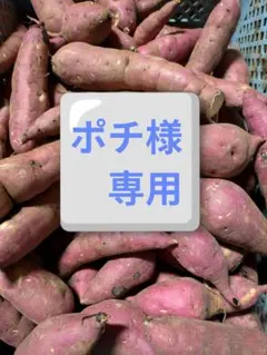 茨城県産さつま芋訳あり紅はるかのサムネイル