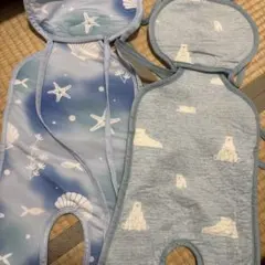 Item thumbnail for item bde04869-eadc-4f47-9881-e2daee85c3bf