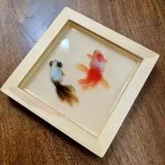 レジンアート金魚