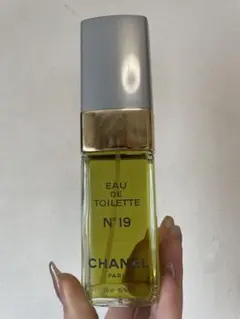 CHANEL N°19 Eau de Toilette 100ml