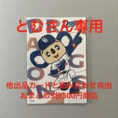 とむさん専用　おまとめ商品