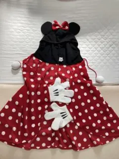 お値下げ！　ディズニー　ケープ　ミニー　ポンチョ　大人サイズ