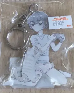 大島智子　アクキー　OST AK