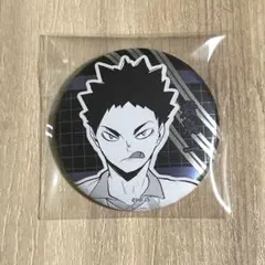 ハイキュー 青葉城西 岩泉一 デコレクション缶バッジ