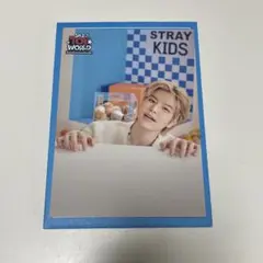 Stray Kids スンミン toy world ラントレ