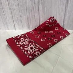 Item thumbnail for item a3df12ab-8de0-46d1-aa50-0508fbf22b96