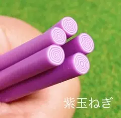 紫玉ねぎ フルーツ スライス棒 5本 ミニチュア ドールハウス クラフト素材