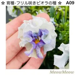 64きんぽうげ様 リクエスト 2点 まとめ商品