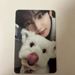 ゼベワン　ユジン　トレカ　犬